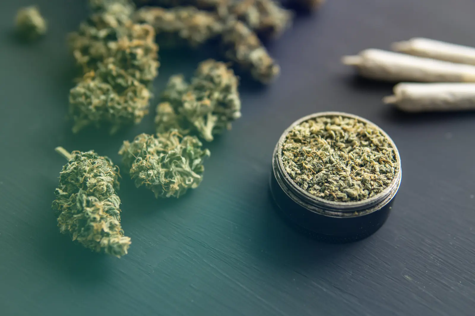 Cannabis buds and ground marijuana in grinder with pre-rolls