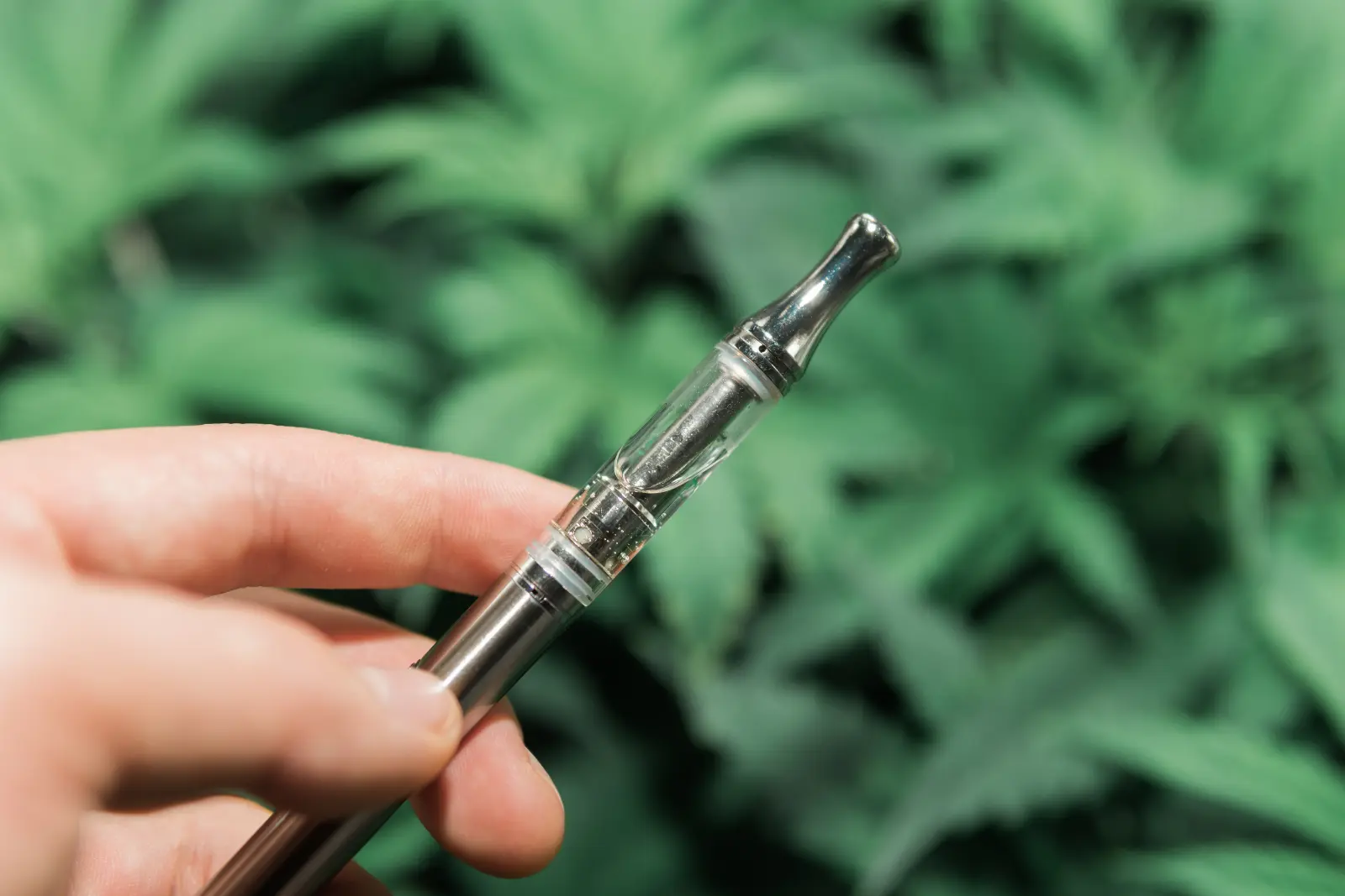 Hand holding cannabis vape pen with marijuana plants background