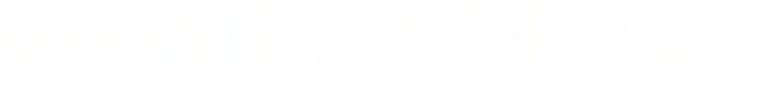 Valley Wellness logo with abstract sunrise icon